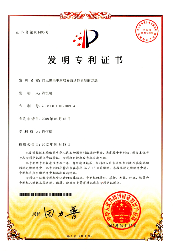 Invention patent process-Soapberry-China