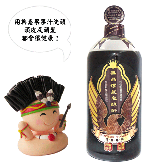 Soapberry Shampoo-1kg