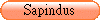 Sapindus
