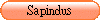 Sapindus