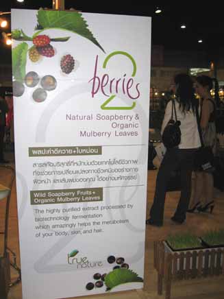 Lwl LwG Soapberry  Saponins